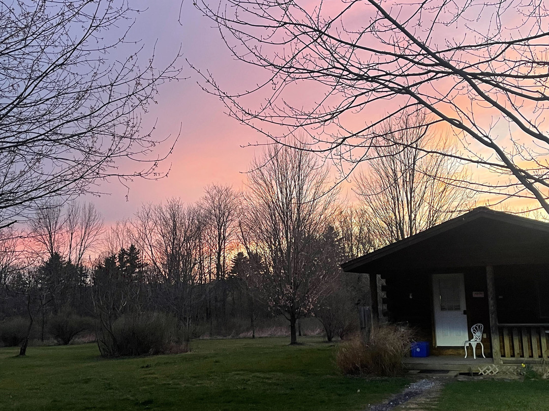 Finger Lakes Mill Creek Cabins主图