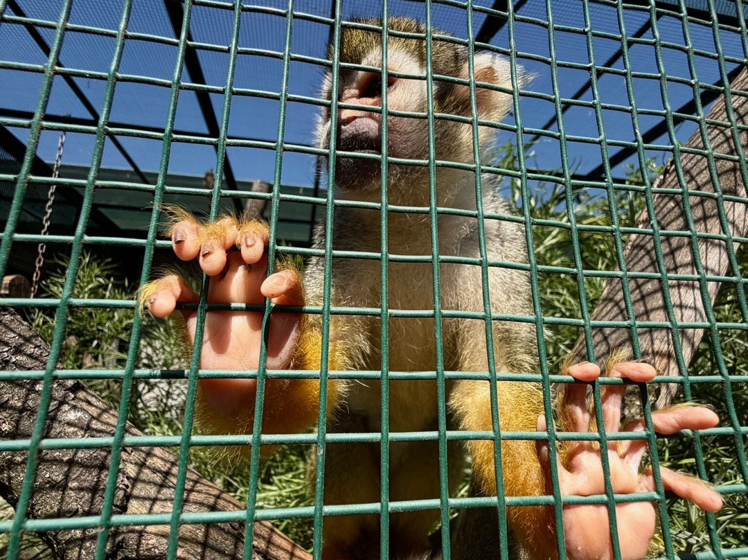 Bioparc Genève Pierre Challandes-Bellevue必去景点
