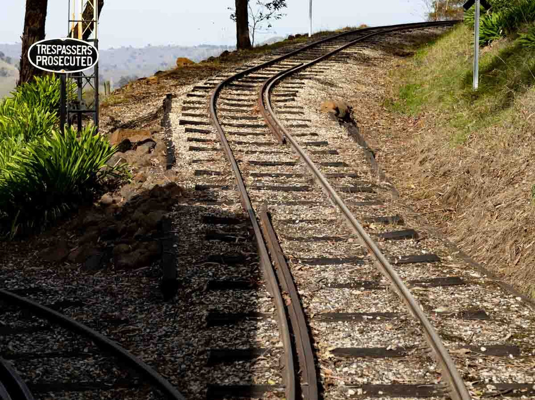 Kerrisdale Mountain Railway-Kerrisdale必去景点