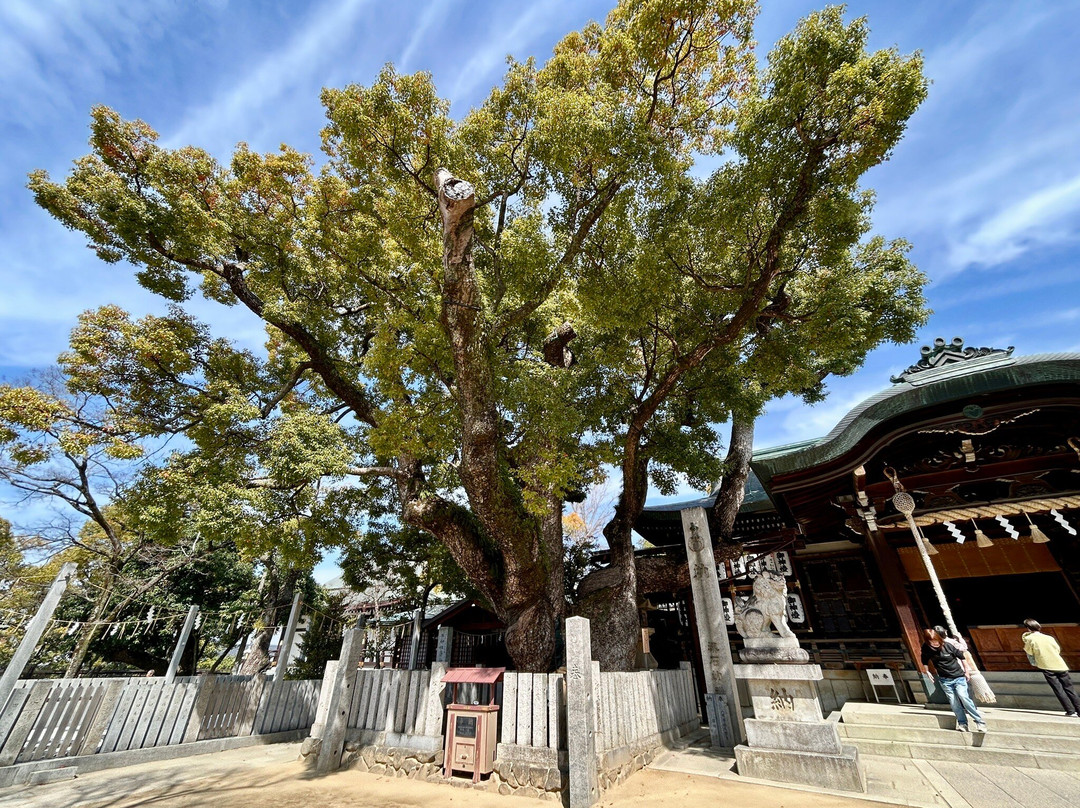Ishikiri Tsurugiya Shrine-东大阪市必去景点