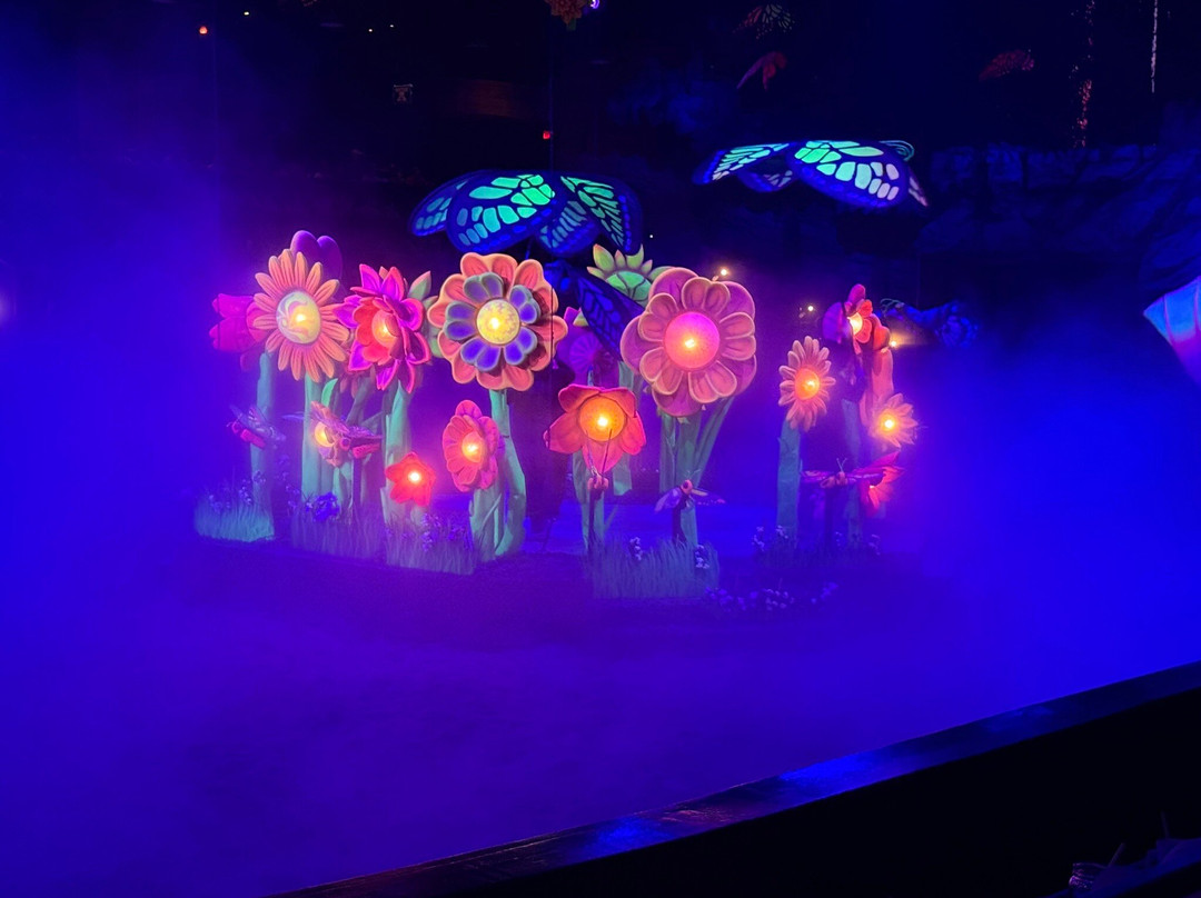 Dolly Parton's Stampede Dinner Attraction-布兰森必去景点