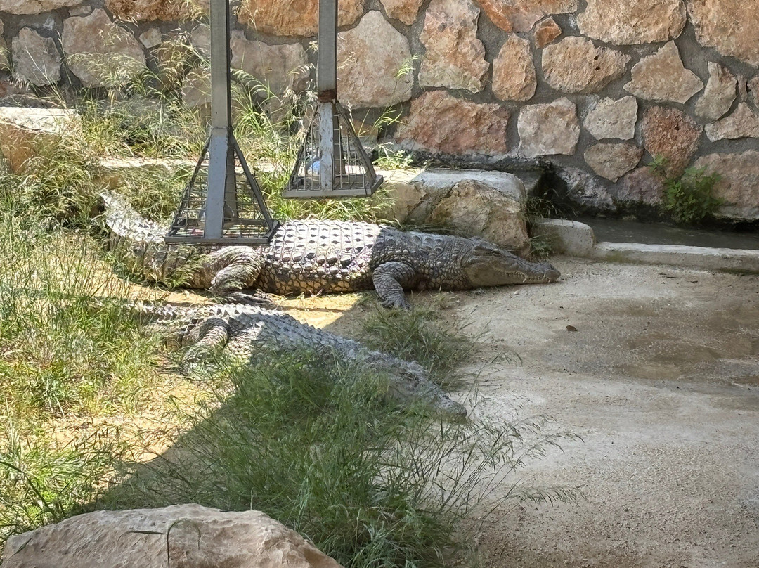 Pafos Zoo-帕福斯必去景点