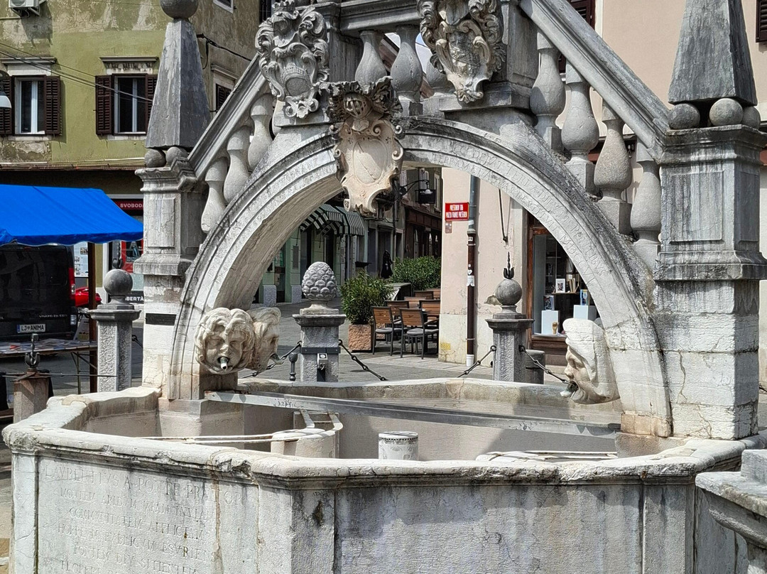 Da Ponte Fountain-科佩尔必去景点