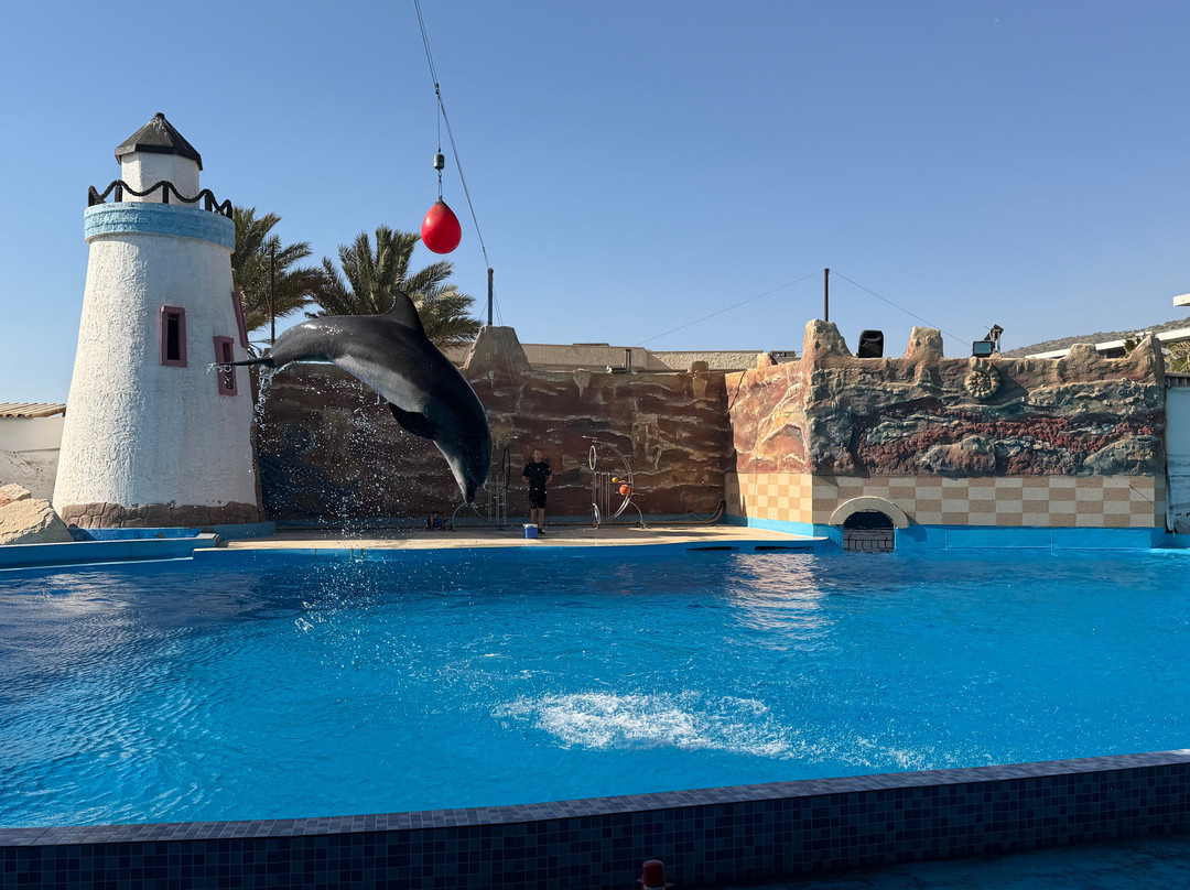 Agadir Dolphin World-阿加迪尔必去景点