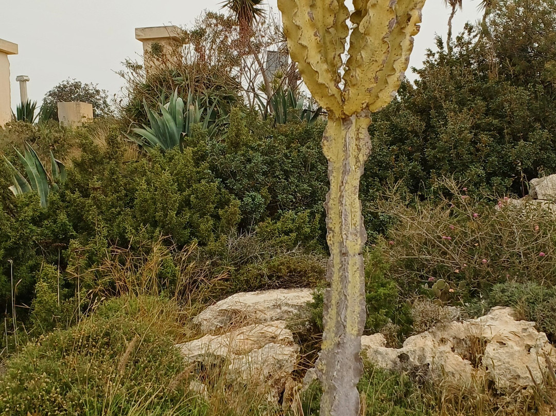 Ayia Napa Sculpture Park-阿依纳帕必去景点