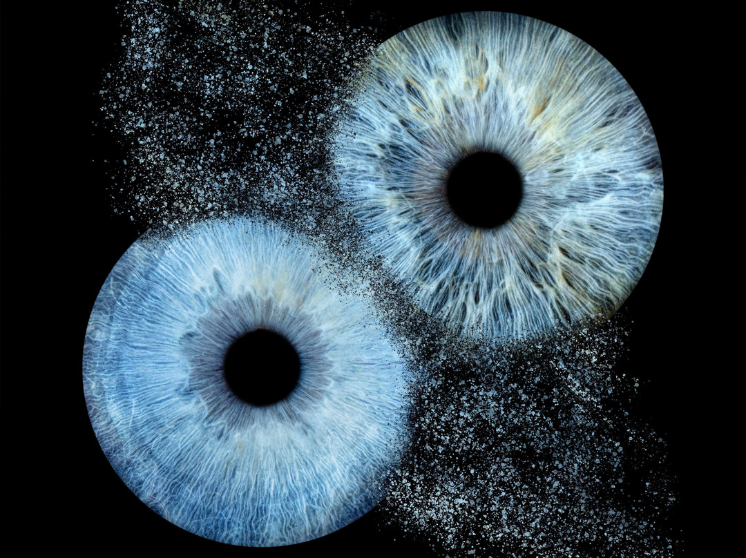 Iris Galerie Utrecht-乌特勒支必去景点
