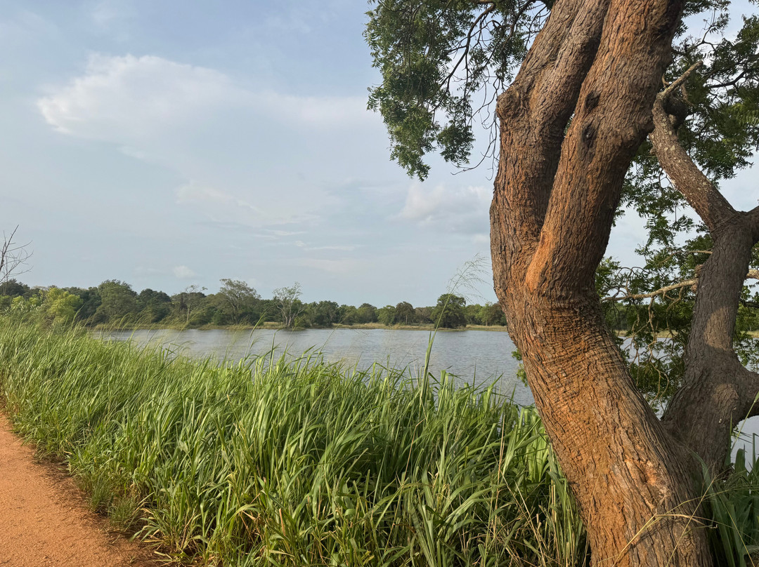 Sanka Tuk Tuk Trails Sigiriya-锡吉里亚必去景点