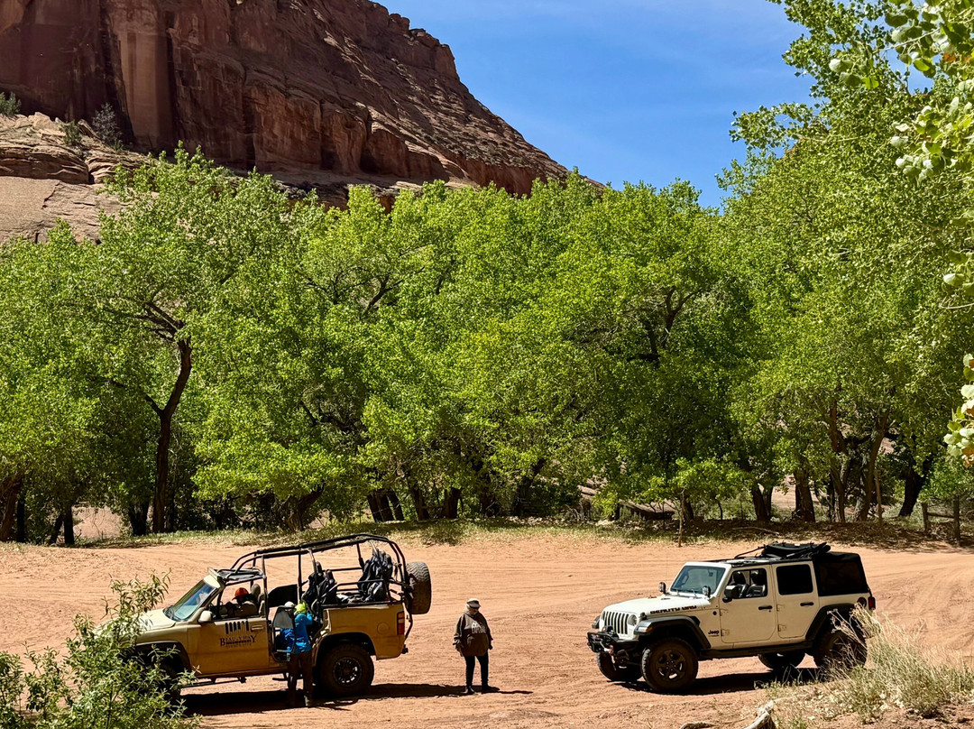 Beauty Way Jeep Tours-Chinle必去景点