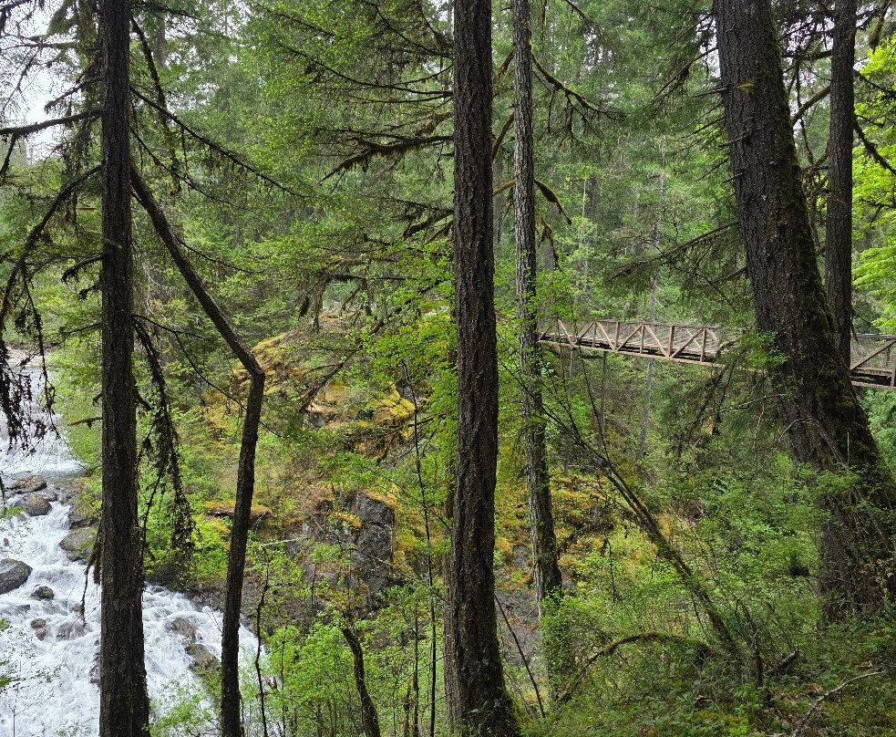 Englishman River Falls Provincial Park-Errington必去景点