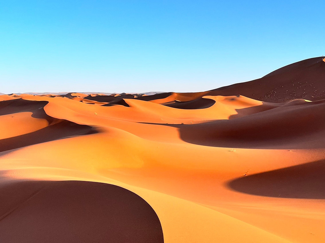 Adventures Desert-迈哈米德必去景点