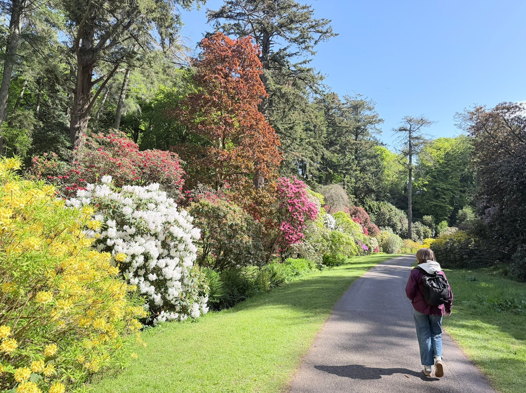 Muncaster Castle-Ravenglass必去景点