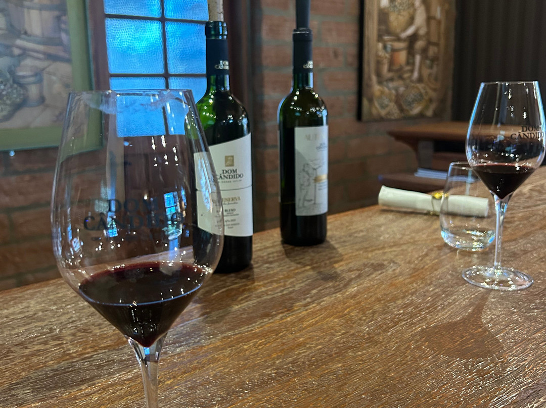 Vinicola Dom Cândido-本图贡萨尔维斯必去景点