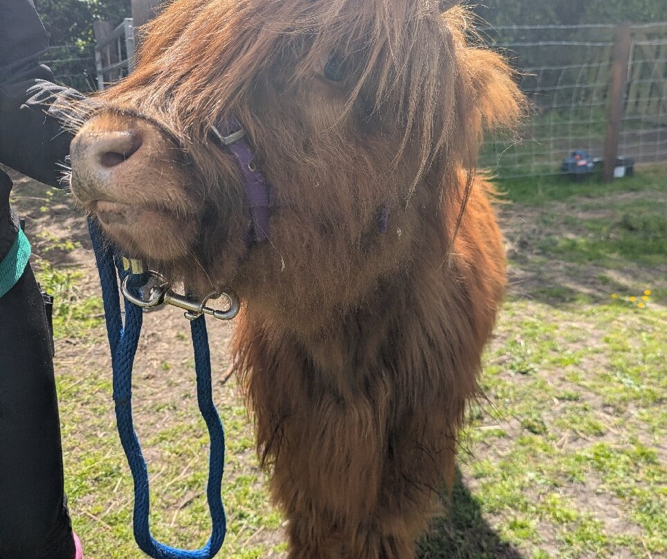 Greenacres Animal Park-Deeside必去景点
