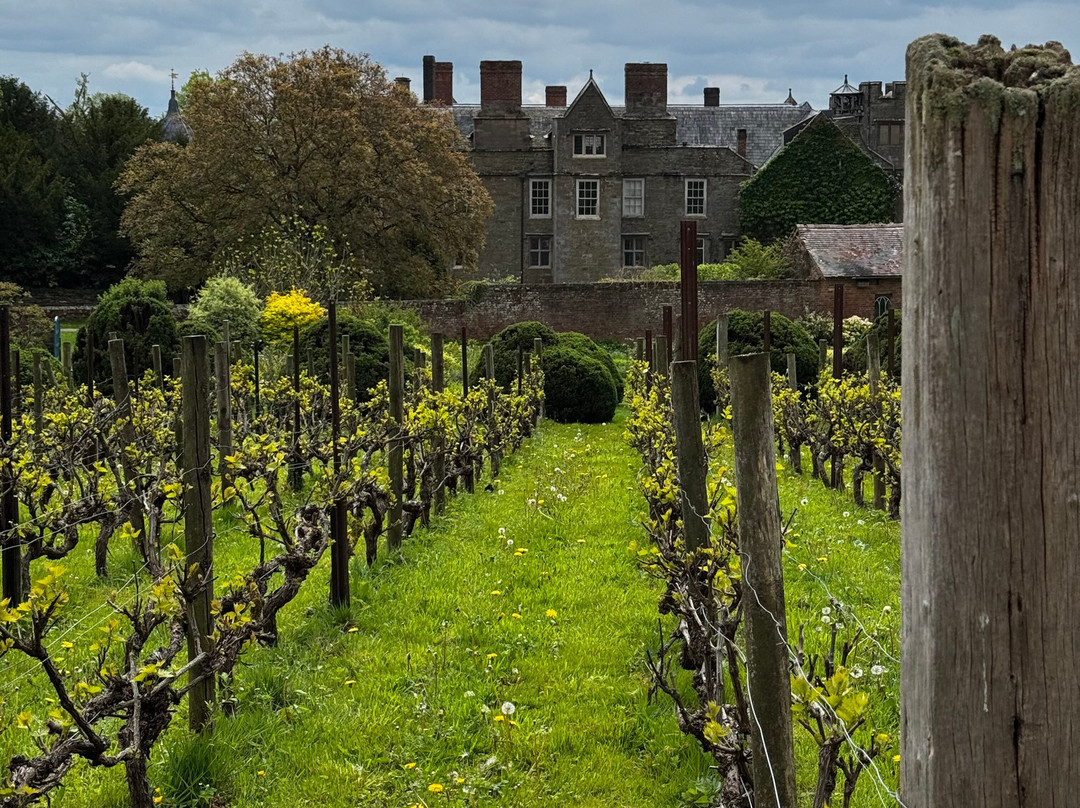 Croft Castle and Parkland-Yarpole必去景点
