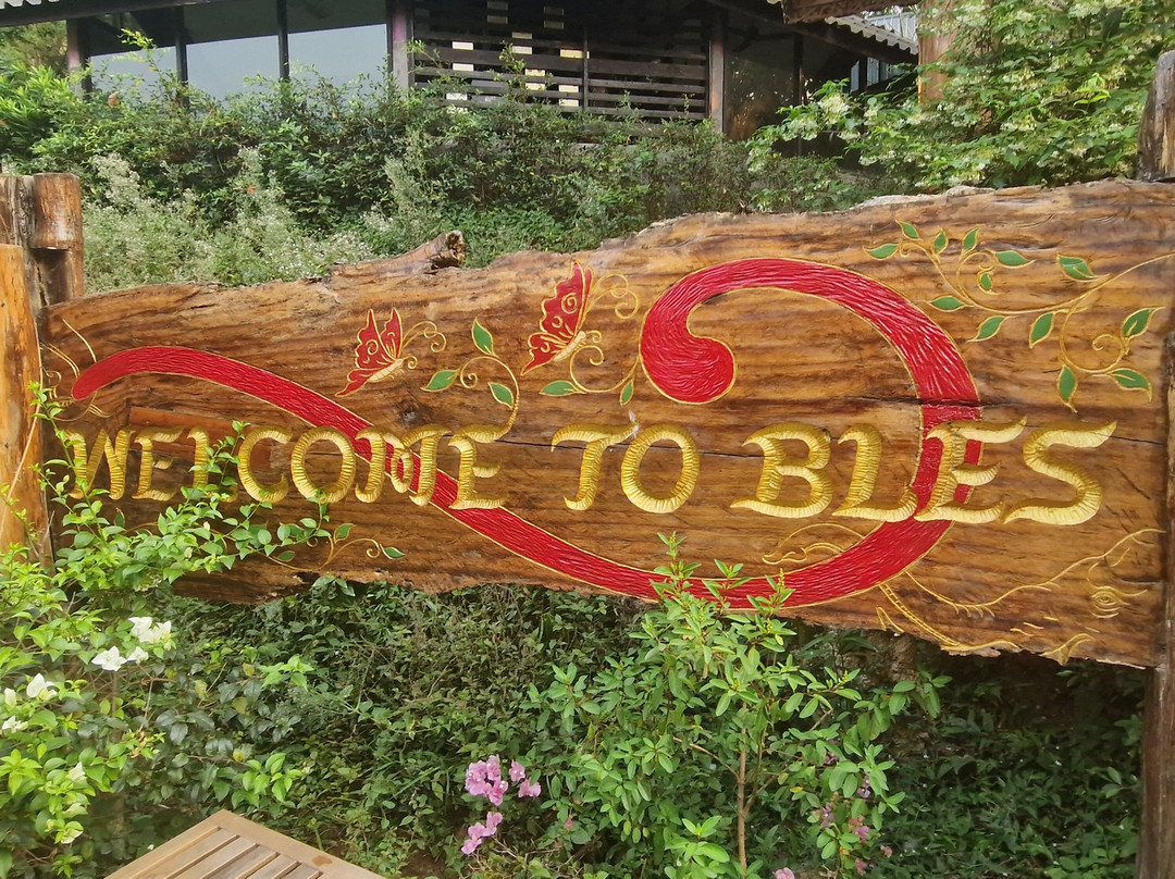 Boon Lott's Elephant Sanctuary-素可泰必去景点