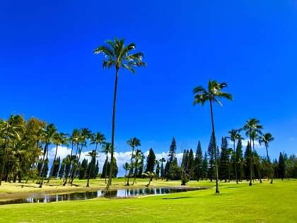 Kauai Bound-利胡埃必去景点