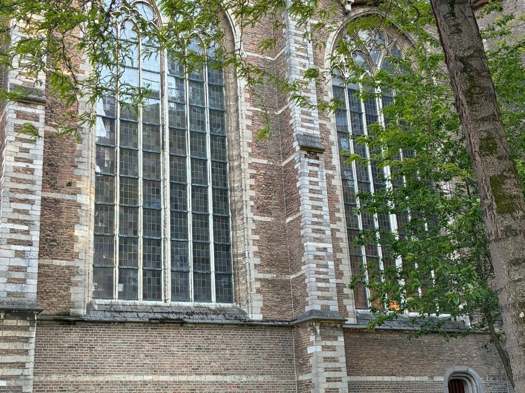 Grote of Sint-Laurenskerk-鹿特丹必去景点
