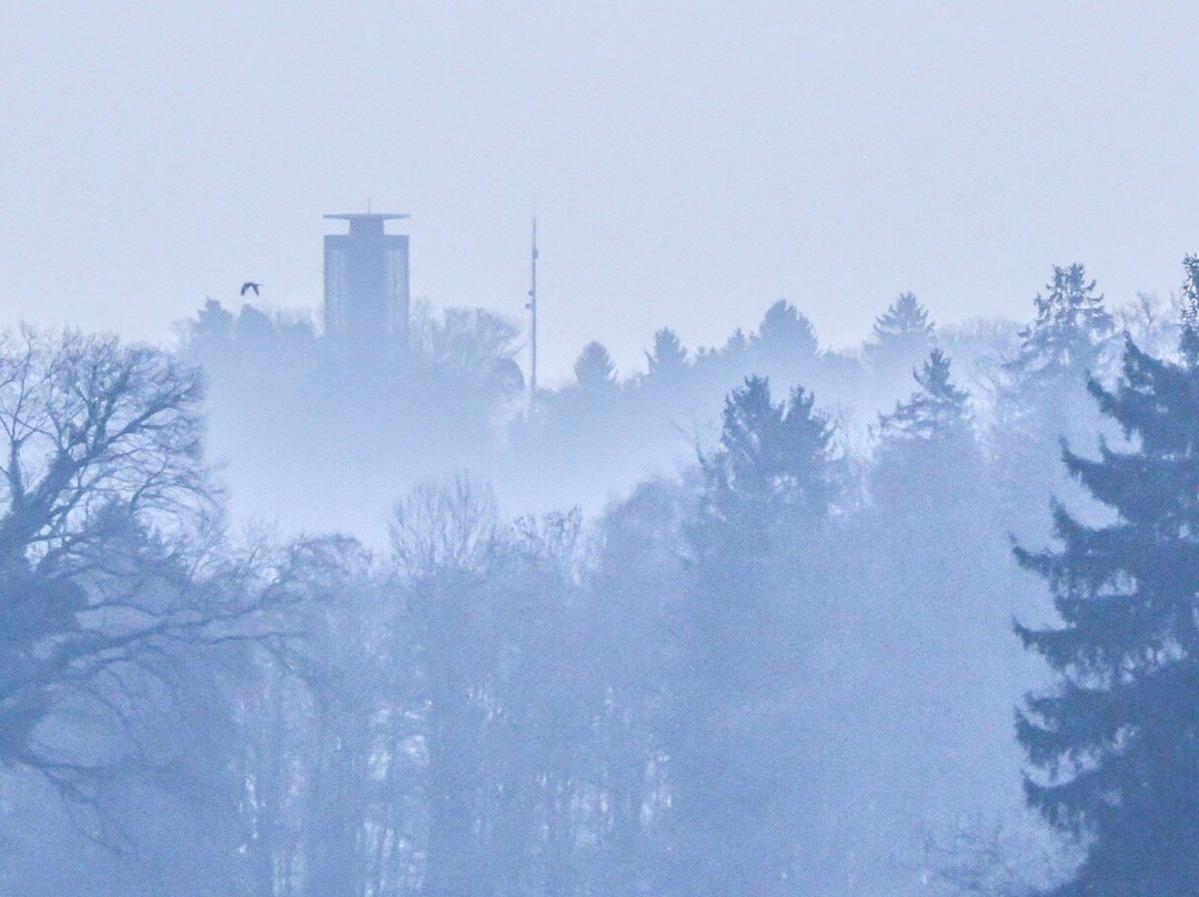 Napoleonturm Hohenrain-Waldi必去景点