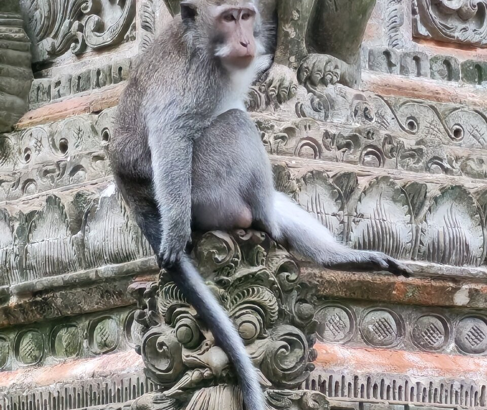 Bali Chauffeur - Day Tours-沙努尔必去景点