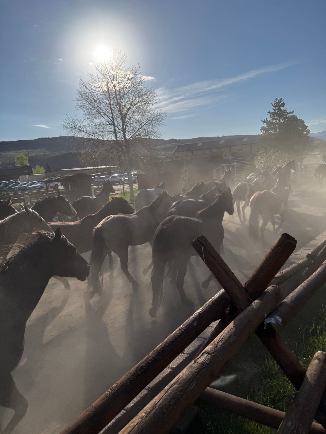 C Lazy U Ranch-旅行者