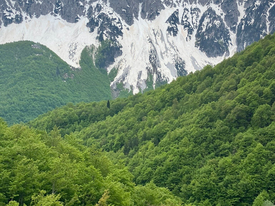 Guesthouse Skender Selimaj