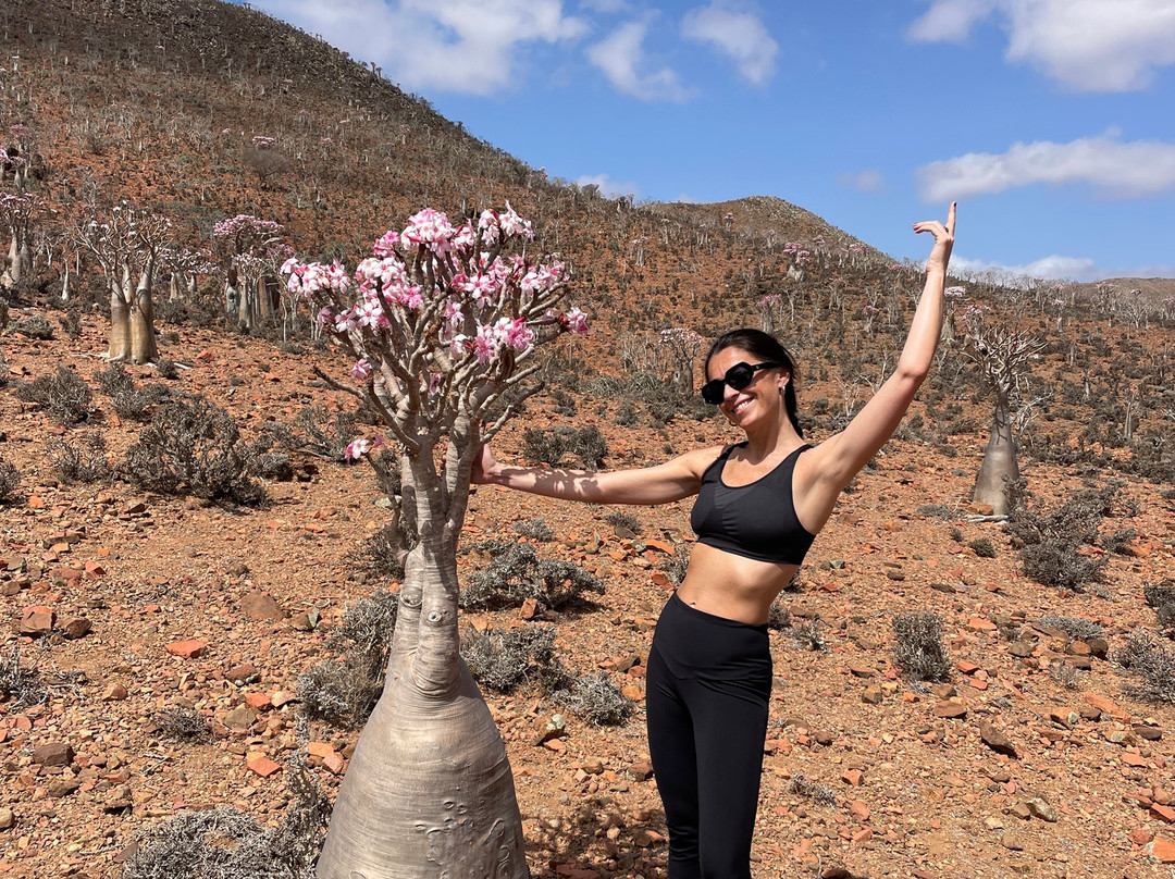 WelcomeToSocotra-索科特拉岛必去景点