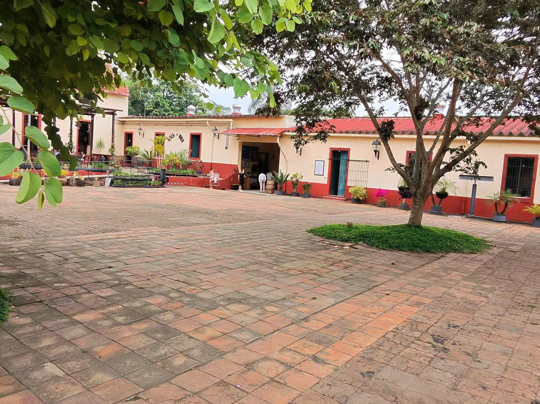 Museo Bola De Oro Finca Roma-科特佩必去景点