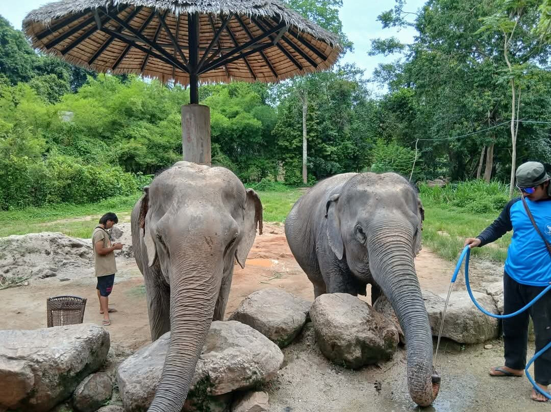 Phangan Elephant Sanctuary