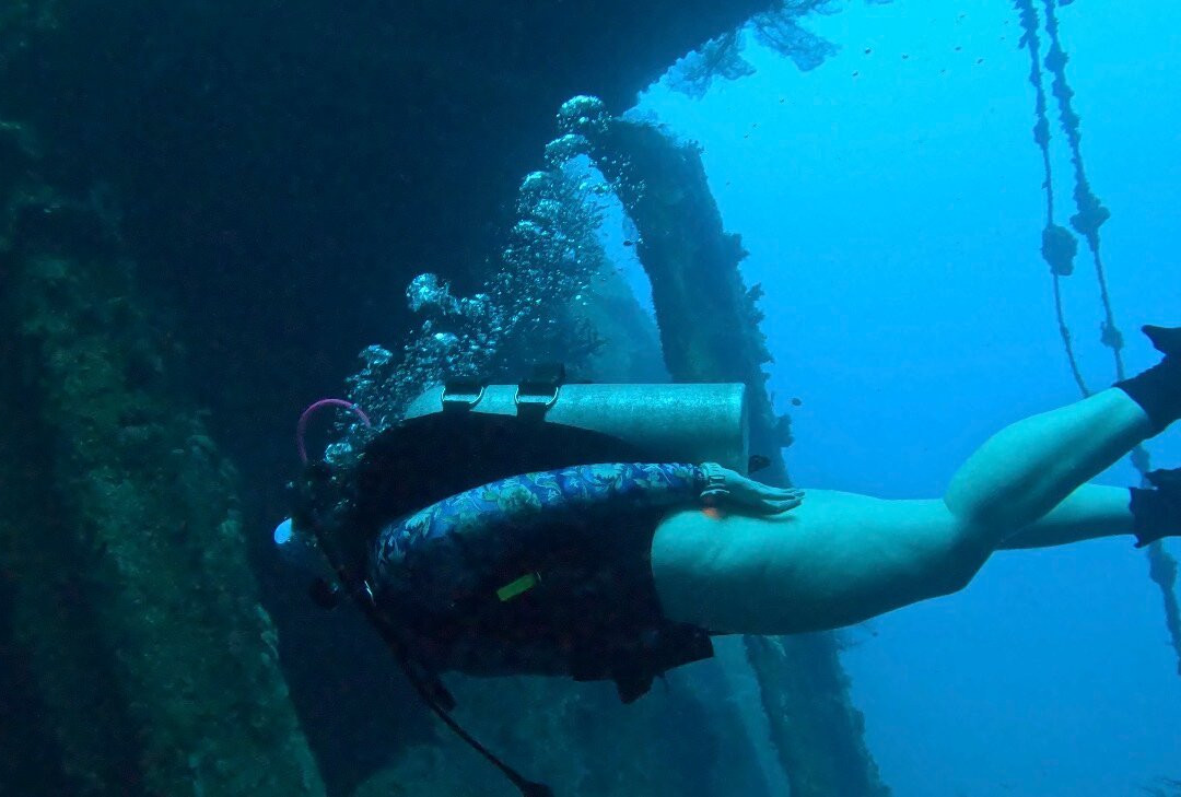 Allan Power Dive Tours-埃斯皮里图桑托岛必去景点