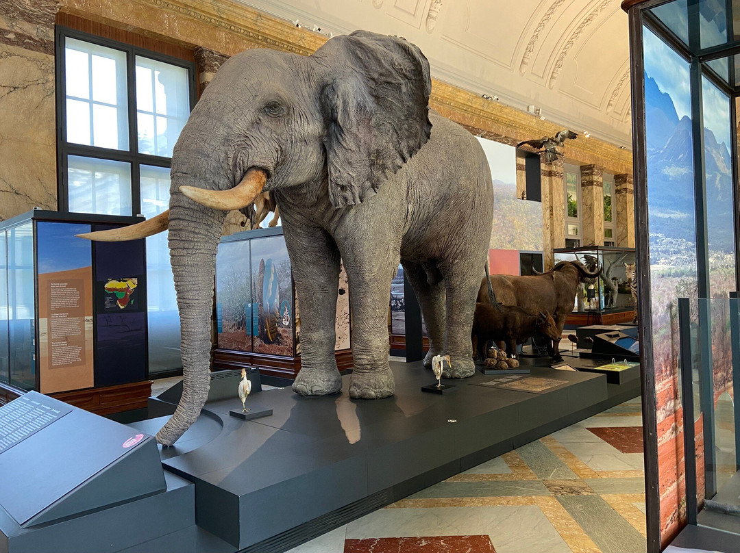 Royal Museum for Central Africa-Tervuren必去景点