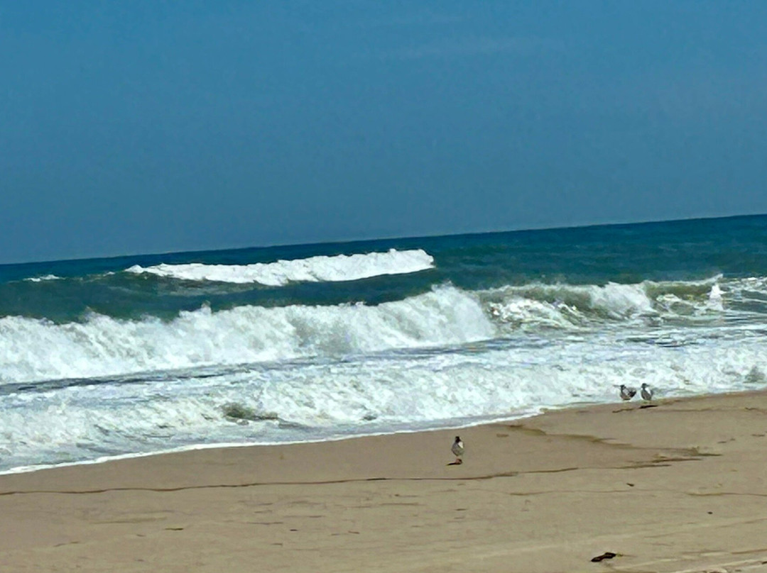 Nauset Beach-奥尔良必去景点