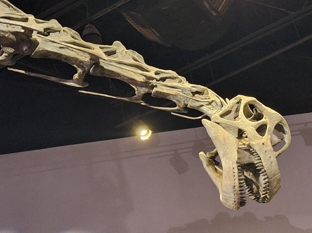 Mountain America Museum of Ancient Life-李海必去景点
