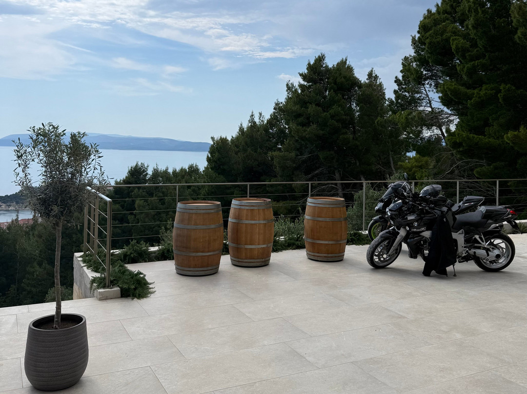 Winery Kusic