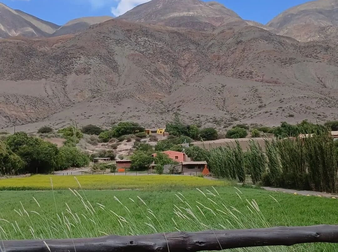 Cabañas Otro Mundo