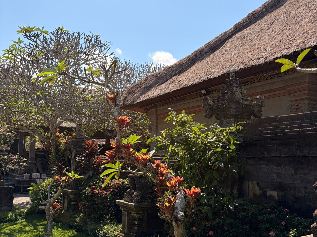 Menjangan Bali Driver Guide-佩母德兰必去景点