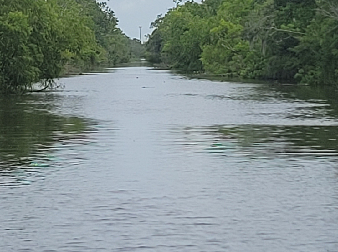 Ragin Cajun Airboat Tours-新奥尔良必去景点
