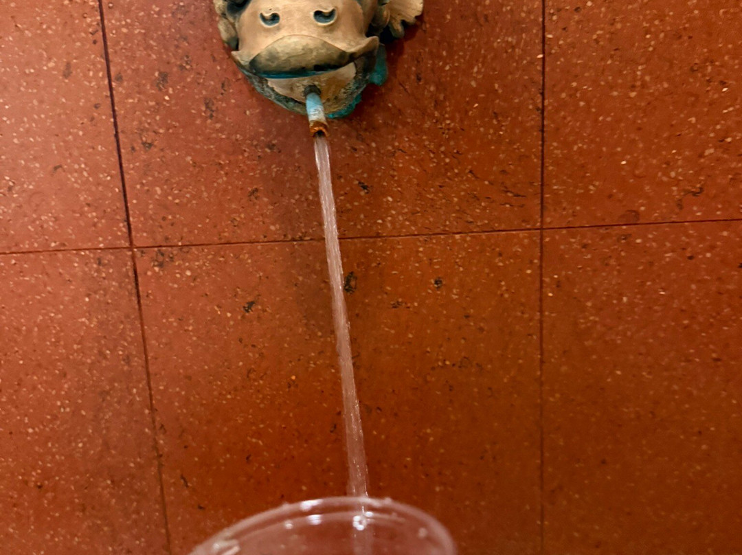 新拉兹纳恩萨纳酒店主图