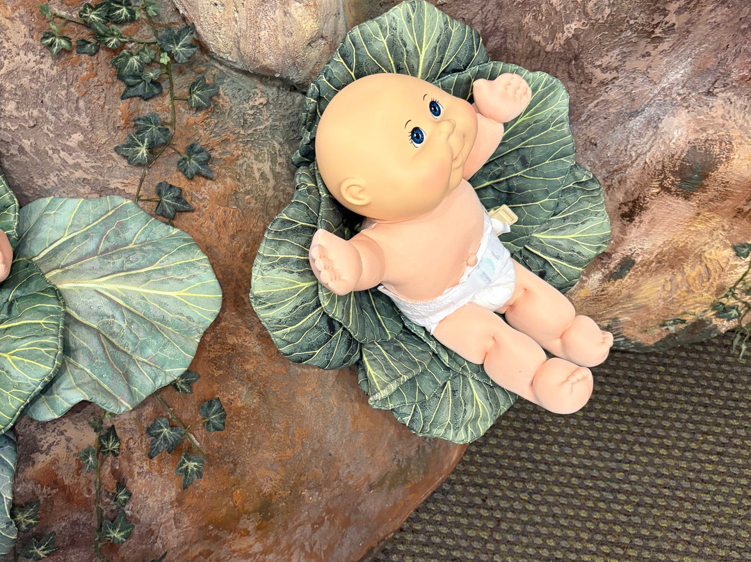 BabyLand General Hospital-Cleveland必去景点