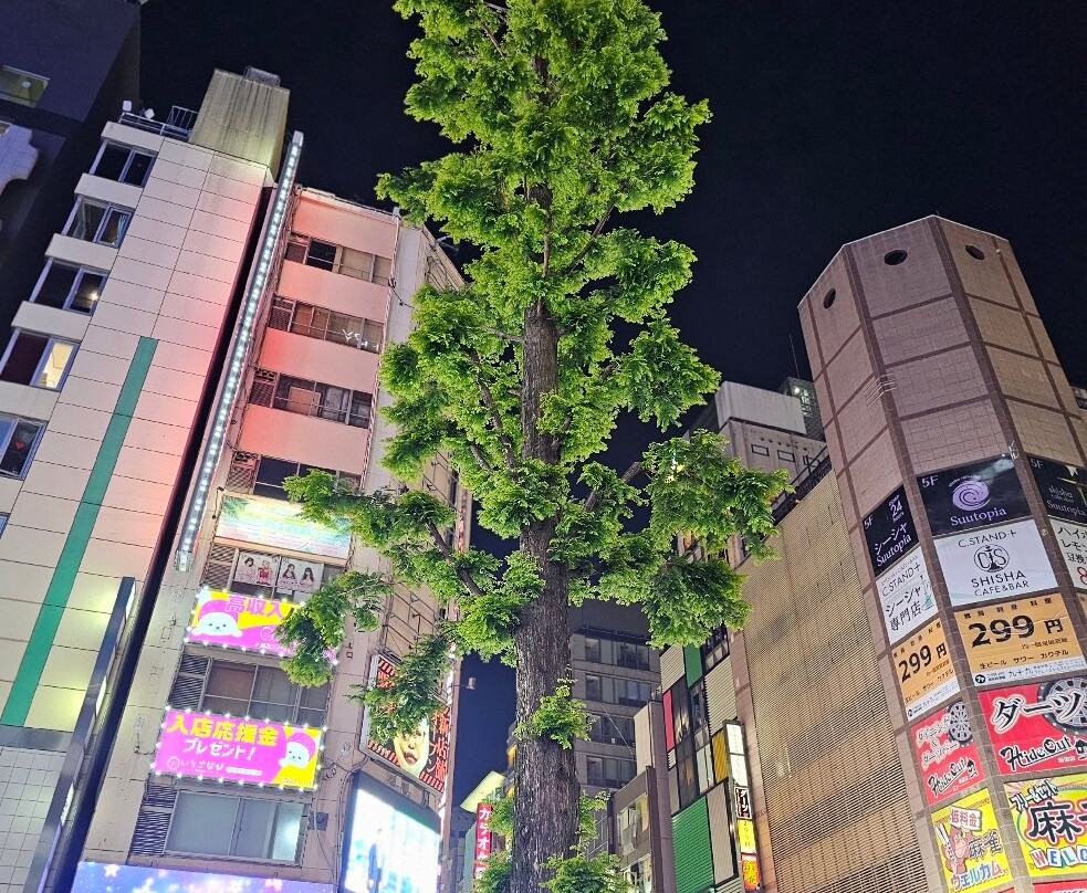 新宿格拉斯丽酒店主图