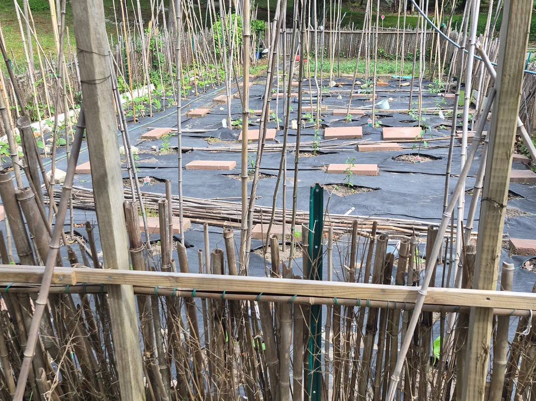 Tao Water Art Gallery-West Barnstable必去景点