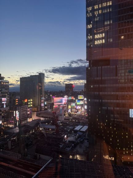 涩谷Stream酒店-酒店景观
