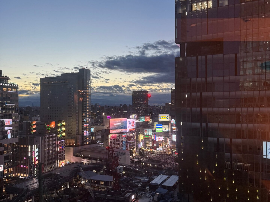 涩谷Stream酒店主图