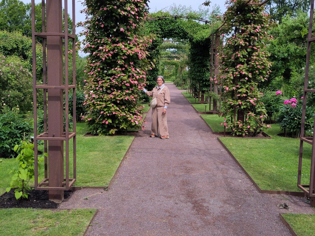 Rosenlunds Rosarium-延雪平必去景点