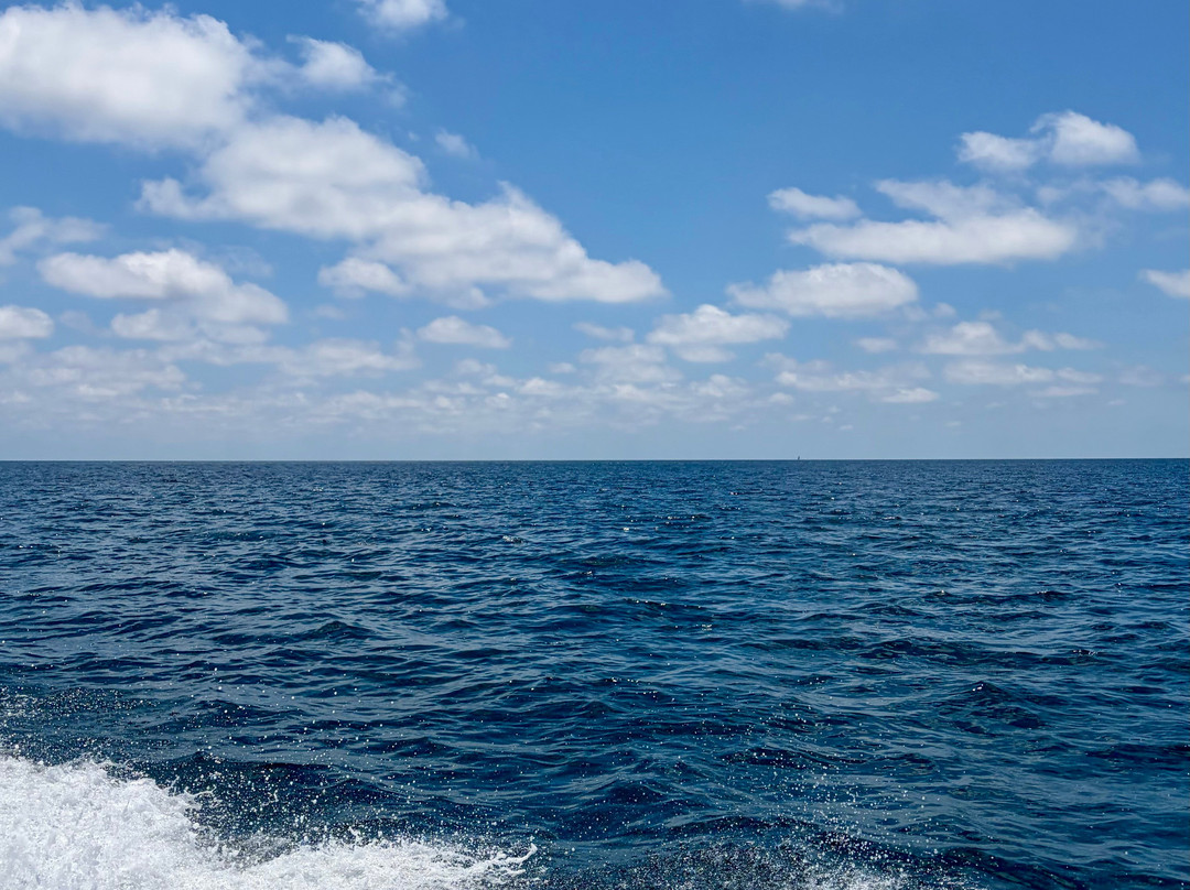 Noleggio Barche Blue Marine-Marina di Casal Velino必去景点