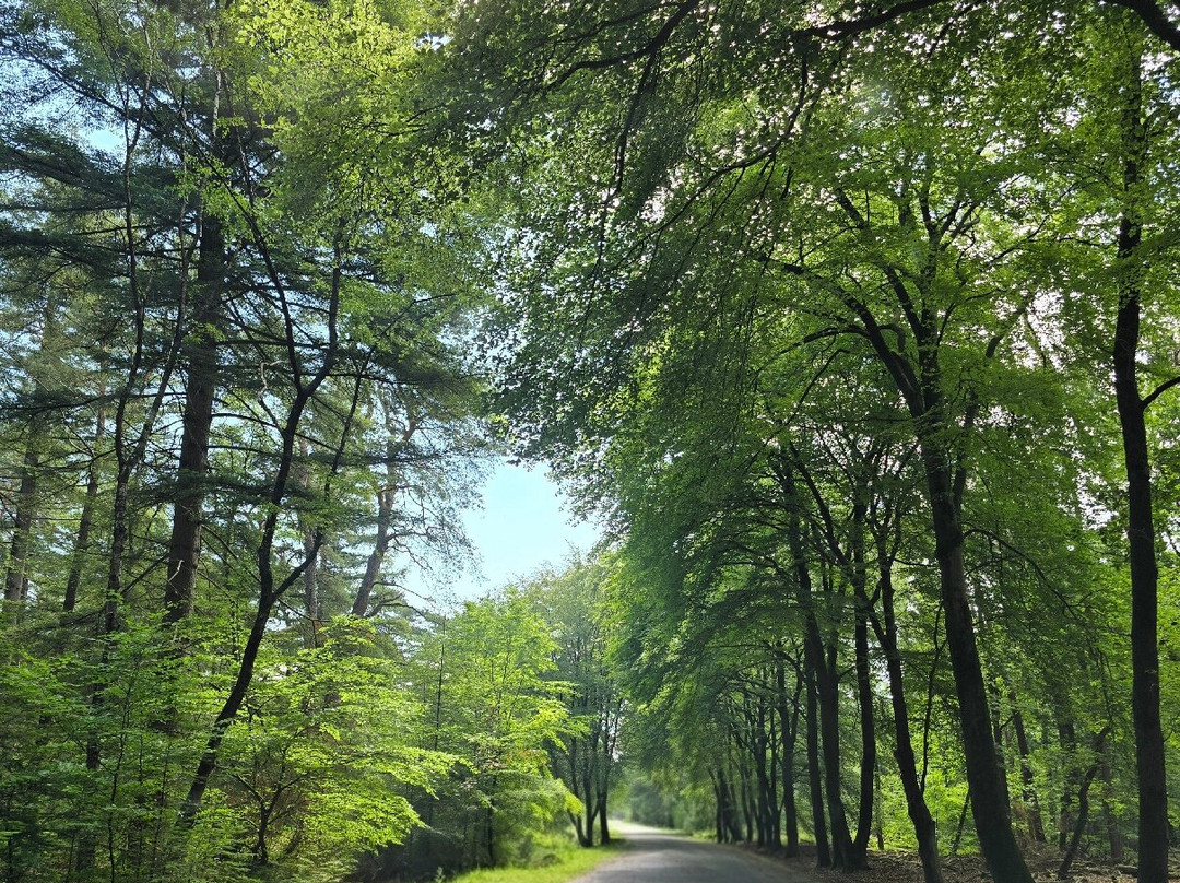 Kröller-Müller Museum-奥特洛必去景点