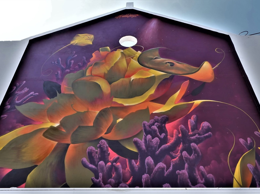 Street Murals By Aruba Art Fair-San Nicolas必去景点