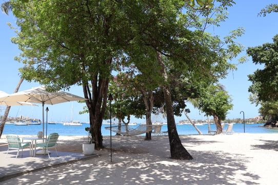 卡拉巴什酒店Calabash Hotel （格林纳达）-泳池