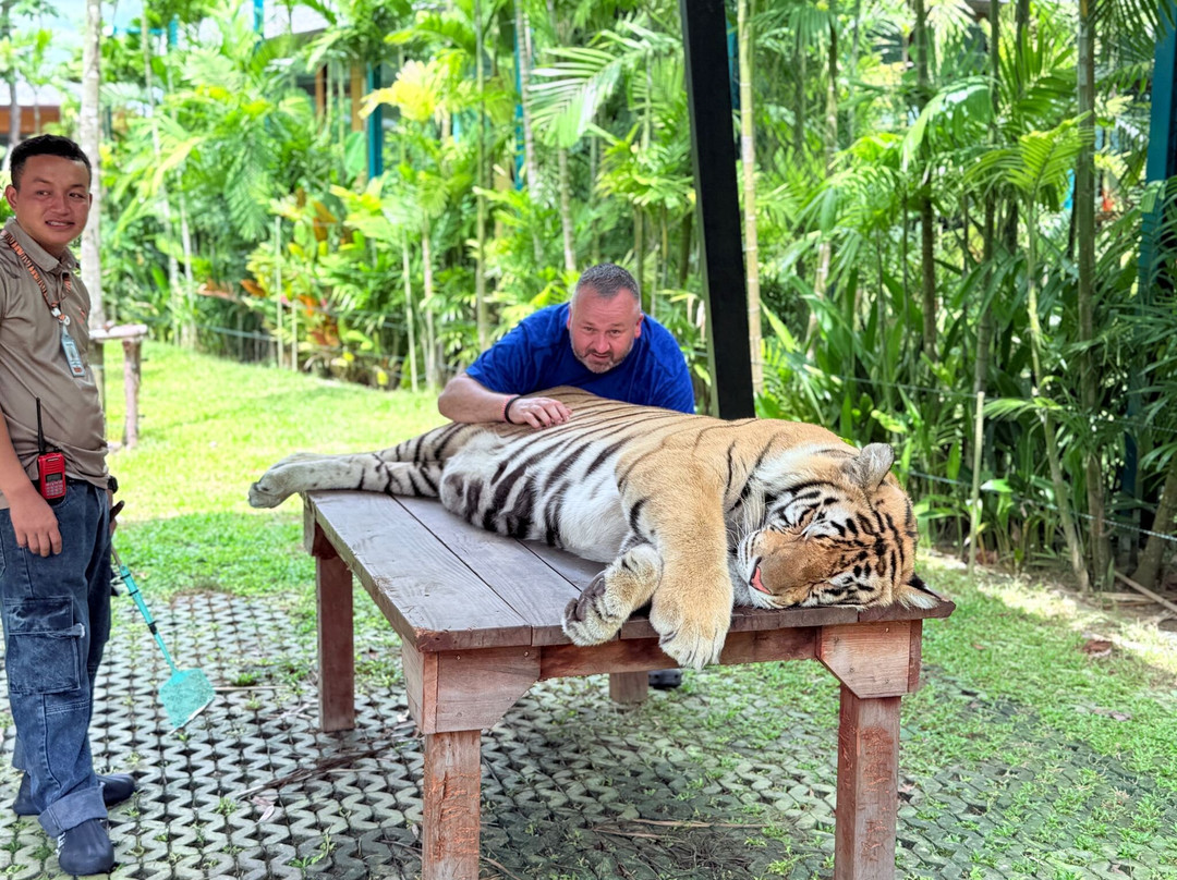 Tiger PARK Phuket-查龙必去景点