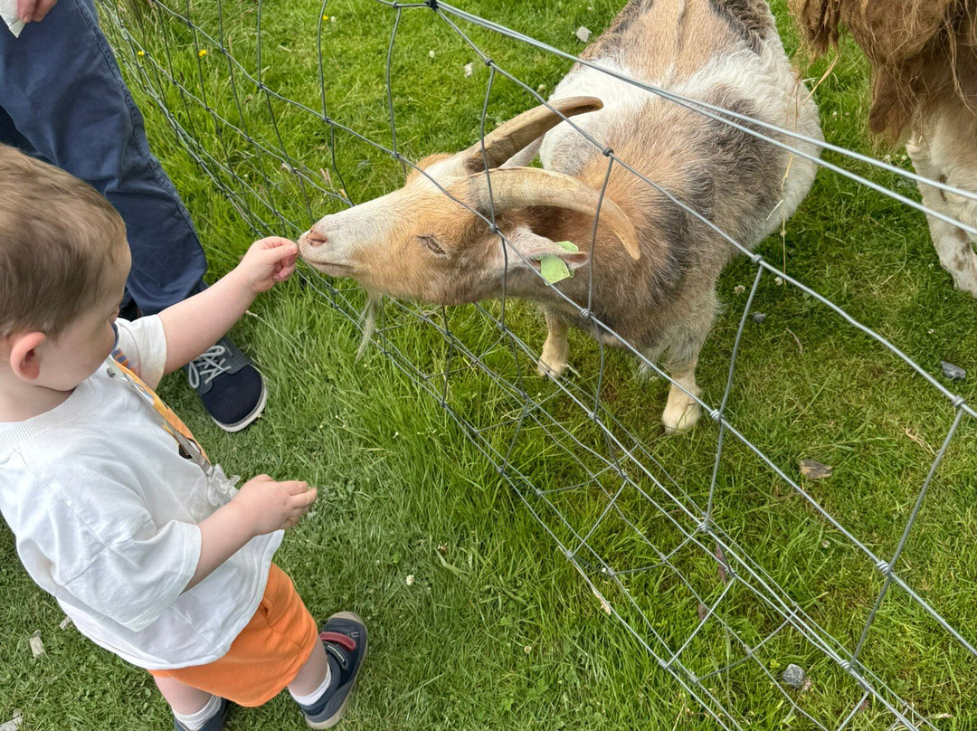 Secret Valley Wildlife Park-韦克斯福德必去景点