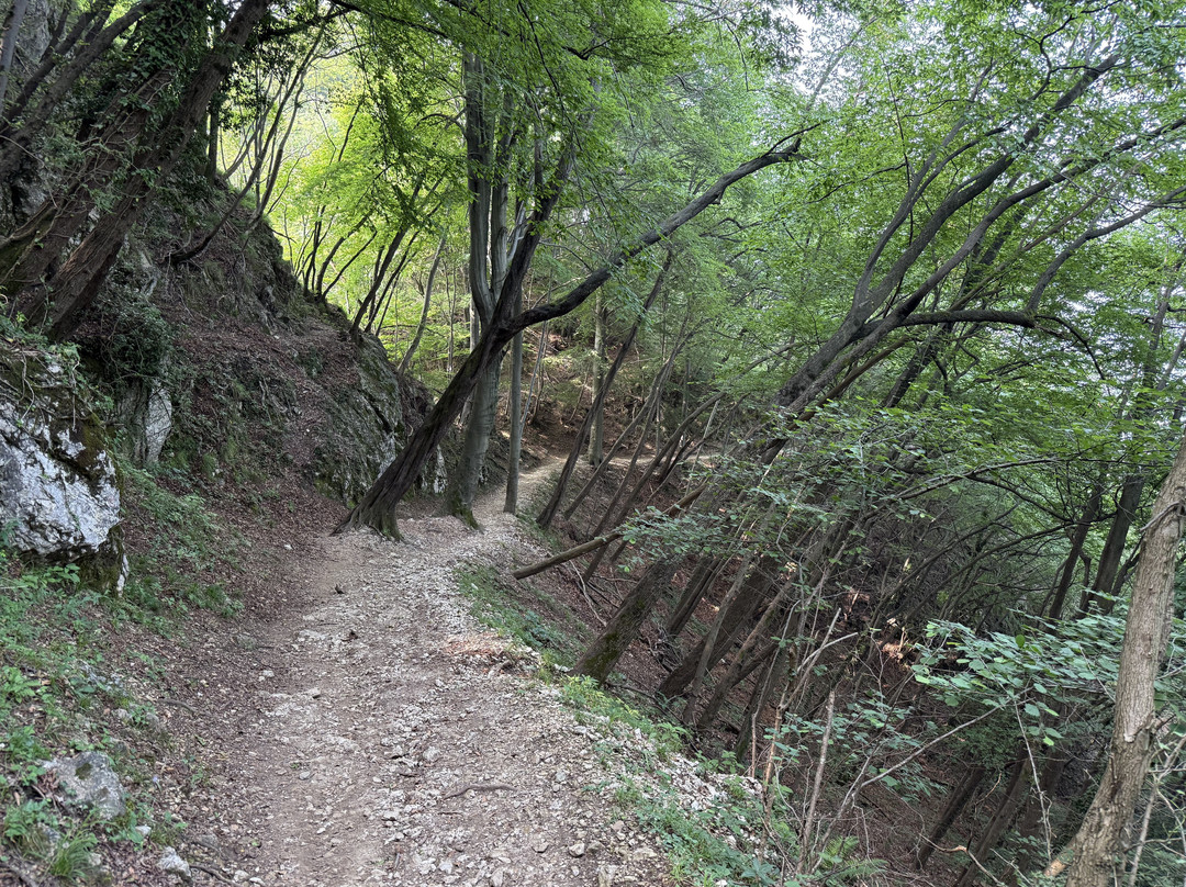 Monte San Salvatore-卢加诺必去景点